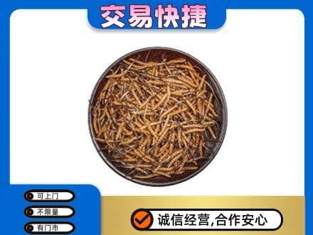 镇江扬中市回收散虫草
